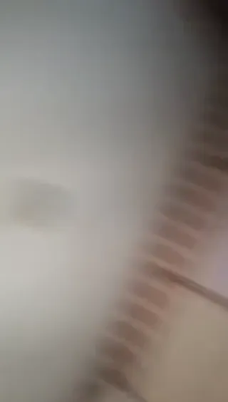 예쁜 작은 언니 블루베리잼 더블 파닥파닥 몸매 날씬하다 열정 파닥파닥 매력적이다